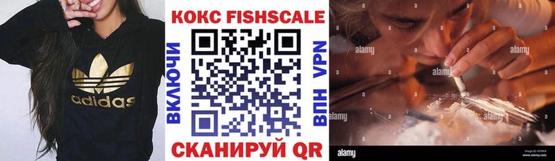 Купить Перевоз Кокаин Fish Scale