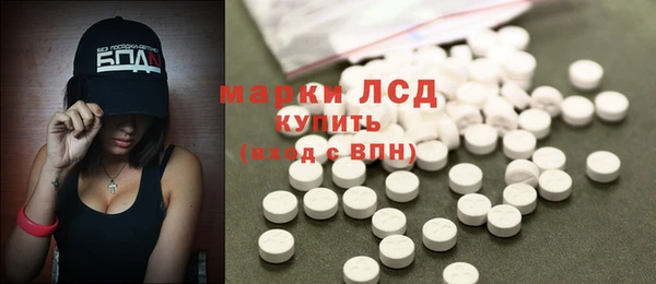 ПСИЛОЦИБИНОВЫЕ ГРИБЫ Липки