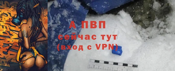 ПСИЛОЦИБИНОВЫЕ ГРИБЫ Липки